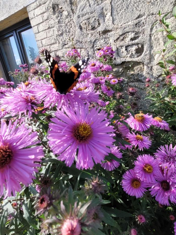 Studio Bienvenue Du Cote De Chez Nous Avec Jardin Privatif Wignehies エクステリア 写真