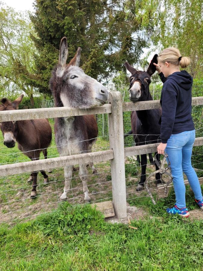 Studio Bienvenue Du Cote De Chez Nous Avec Jardin Privatif Wignehies エクステリア 写真