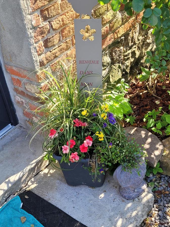 Studio Bienvenue Du Cote De Chez Nous Avec Jardin Privatif Wignehies エクステリア 写真