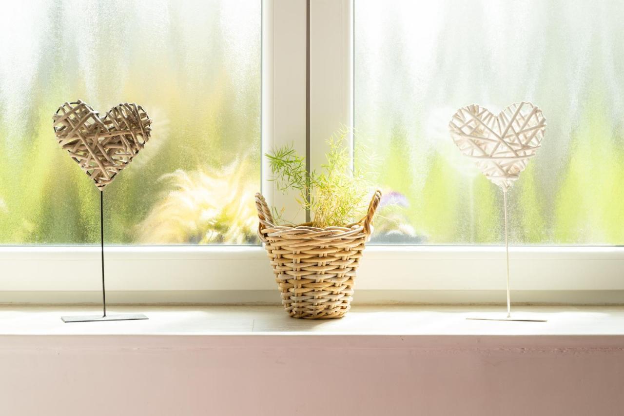 Studio Bienvenue Du Cote De Chez Nous Avec Jardin Privatif Wignehies エクステリア 写真