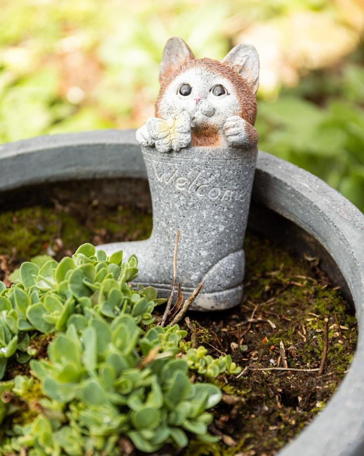 Studio Bienvenue Du Cote De Chez Nous Avec Jardin Privatif Wignehies エクステリア 写真