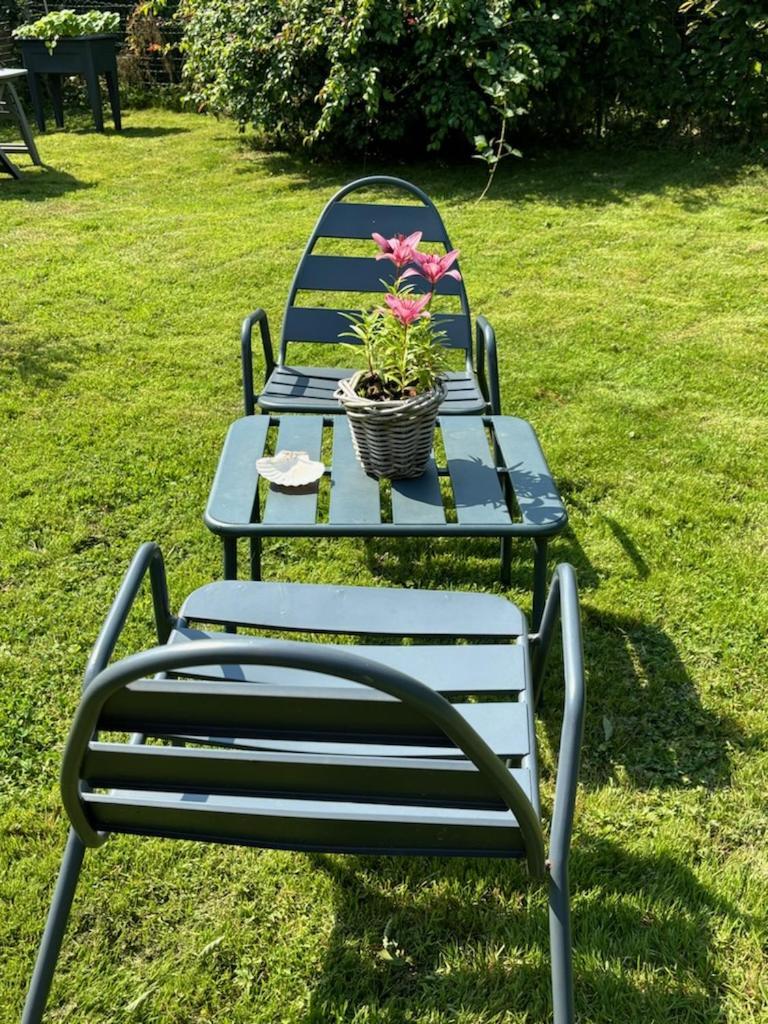 Studio Bienvenue Du Cote De Chez Nous Avec Jardin Privatif Wignehies エクステリア 写真