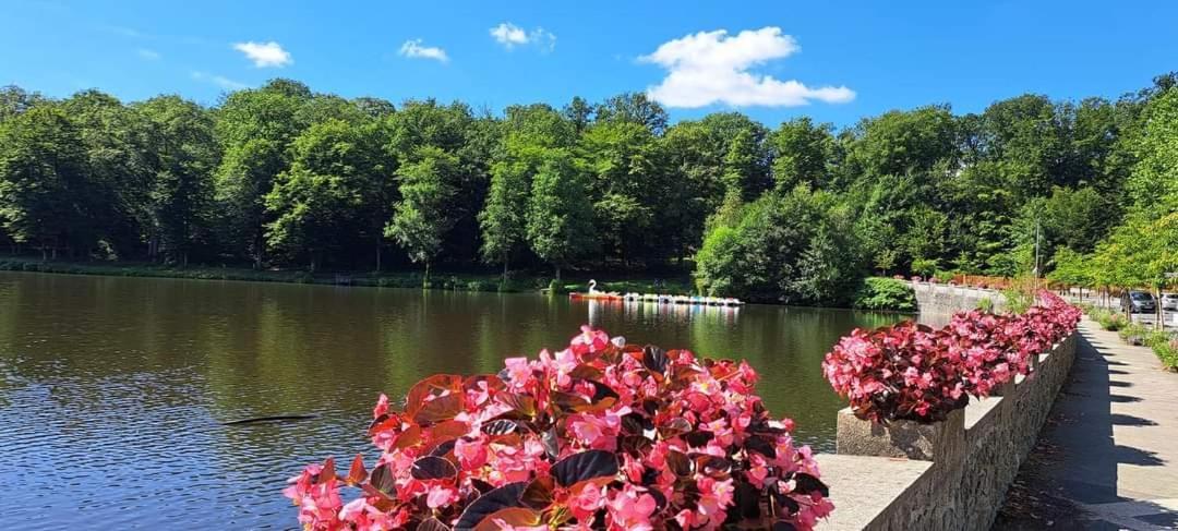 Studio Bienvenue Du Cote De Chez Nous Avec Jardin Privatif Wignehies エクステリア 写真